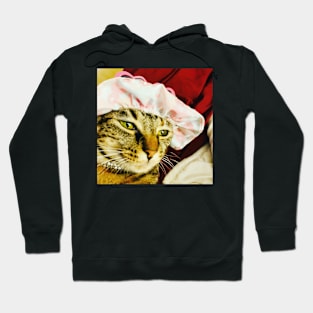 summer cat Hoodie